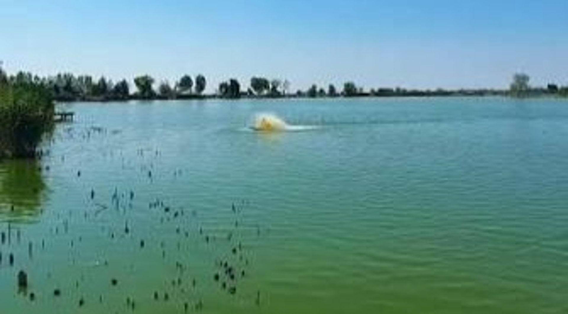 Panorama lake  — Poză principală