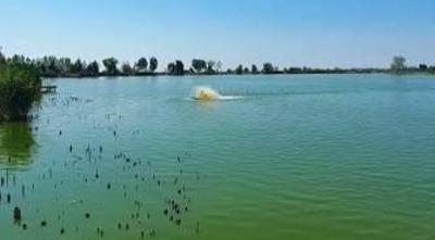Panorama lake 