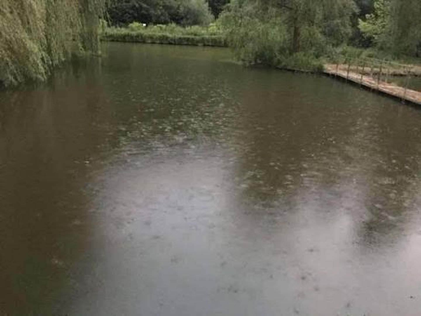 Lacurile la trei drumuri — Poză principală