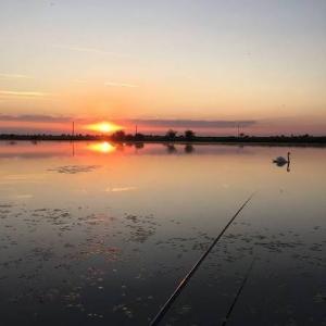 Lacul Ciupa