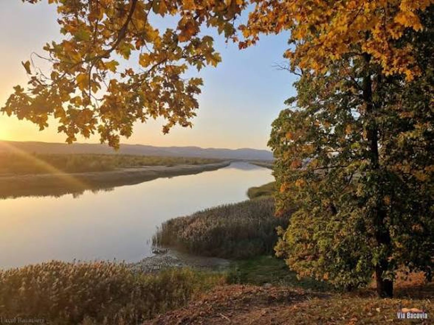 Lacul Racaciuni — Poză principală