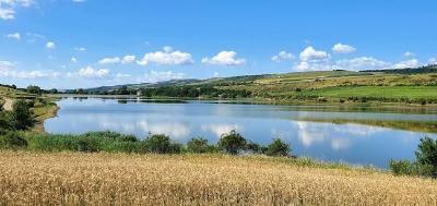 Bibiresti