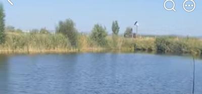 Balta Ceorpelarilor