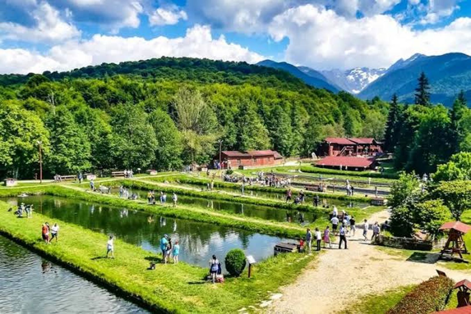 Complex Albota trout farm — Poză principală
