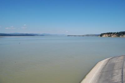 Siret Racaciuni